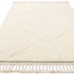 Asiatic Fes FE03 rug 1